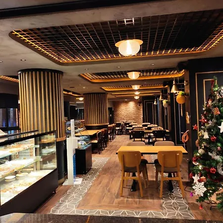 伊斯坦布尔三角洲酒店