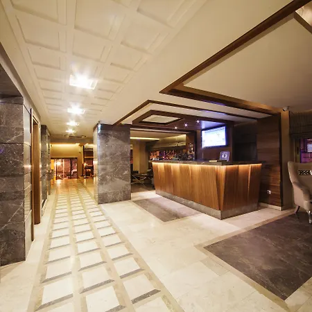 酒店 伊斯坦布尔三角洲酒店 3*