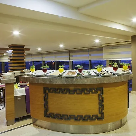 伊斯坦布尔三角洲酒店 酒店 伊斯坦布尔