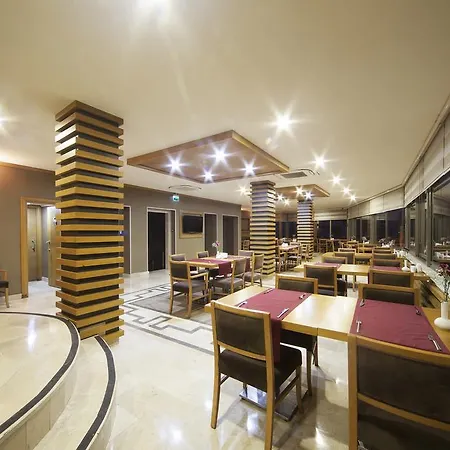 酒店 伊斯坦布尔三角洲酒店 3*