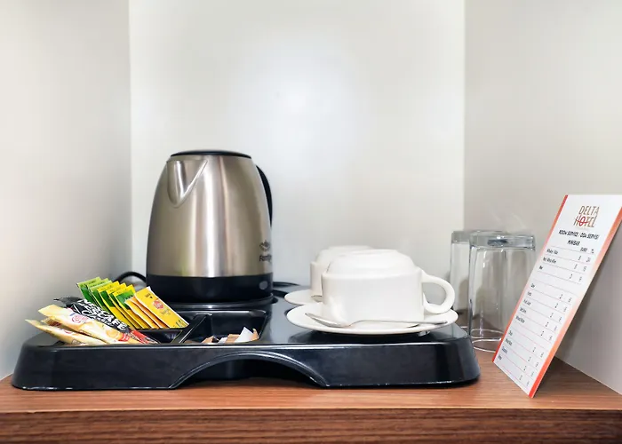 فندق Delta & Old 3*